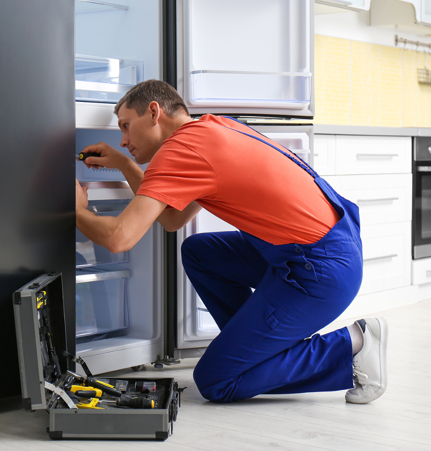 Service Provider of Refrigerator Repair in New Delhi, Delhi, India.