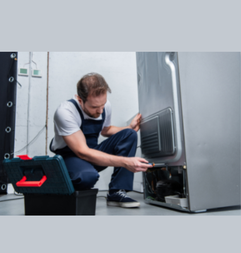 Service Provider of Triple Door Refrigerator Repair in New Delhi, Delhi, India.